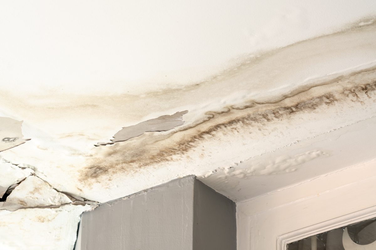Home Repair Experience